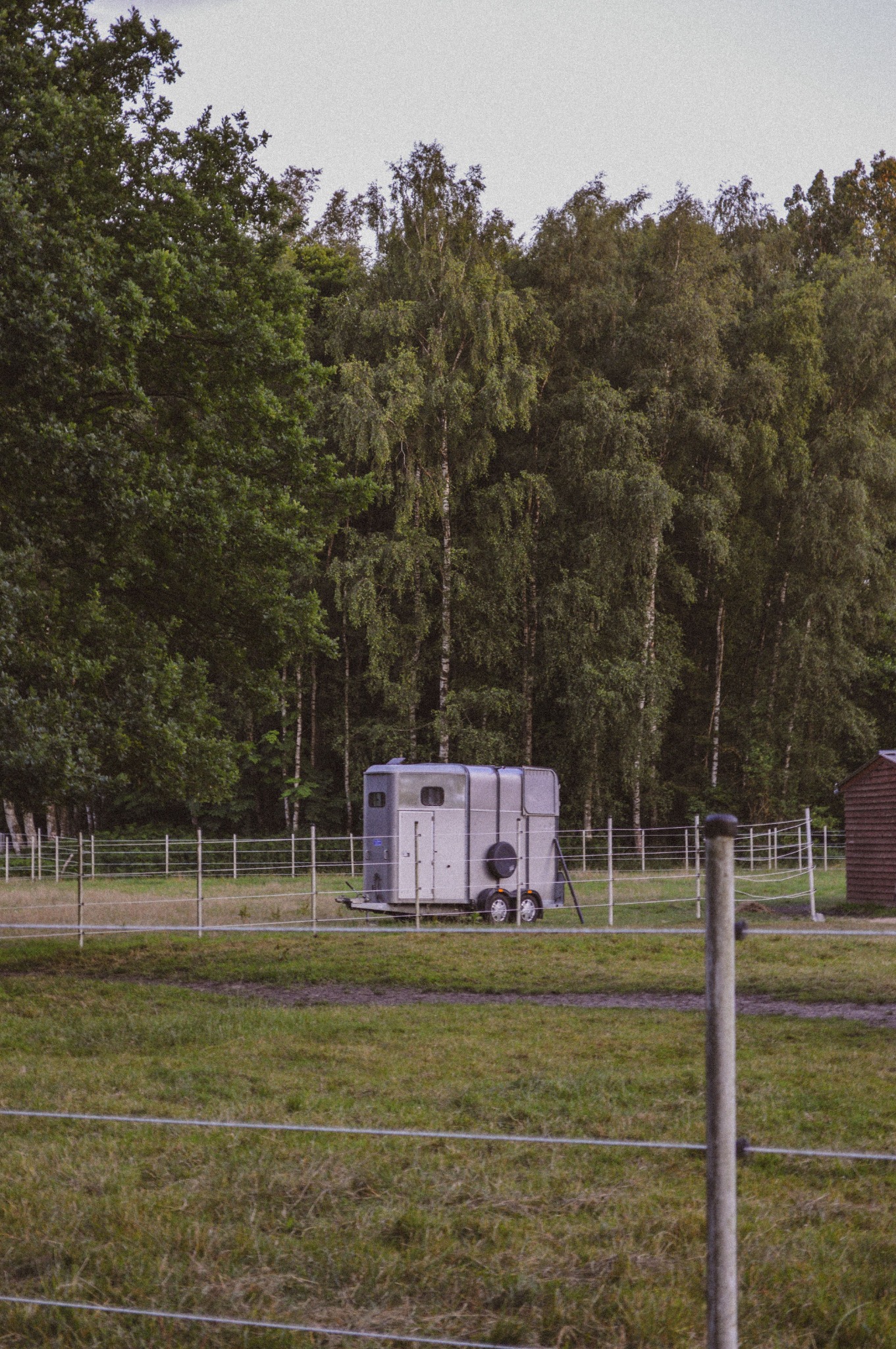 Horse trailer exterior prepared for mobile detailing